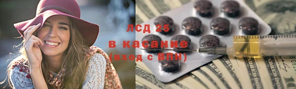 стаф Алзамай