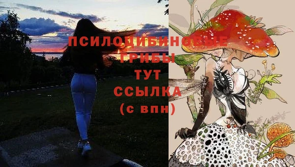 амф Алексеевка
