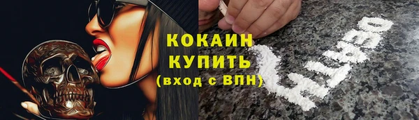 стаф Алзамай