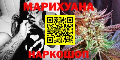 Альфа ПВП Владикавказ
