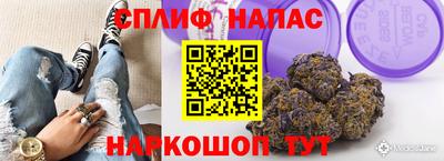 Альфа ПВП Владикавказ