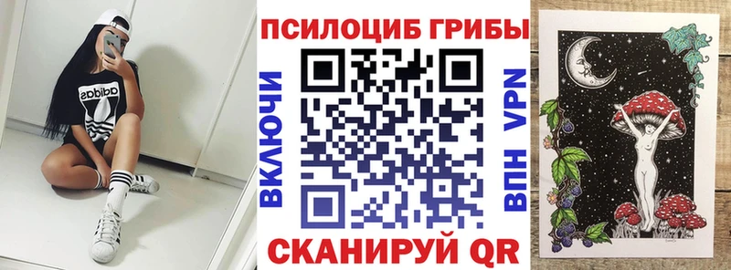 цены   Балашиха  Псилоцибиновые грибы Psilocybine cubensis 